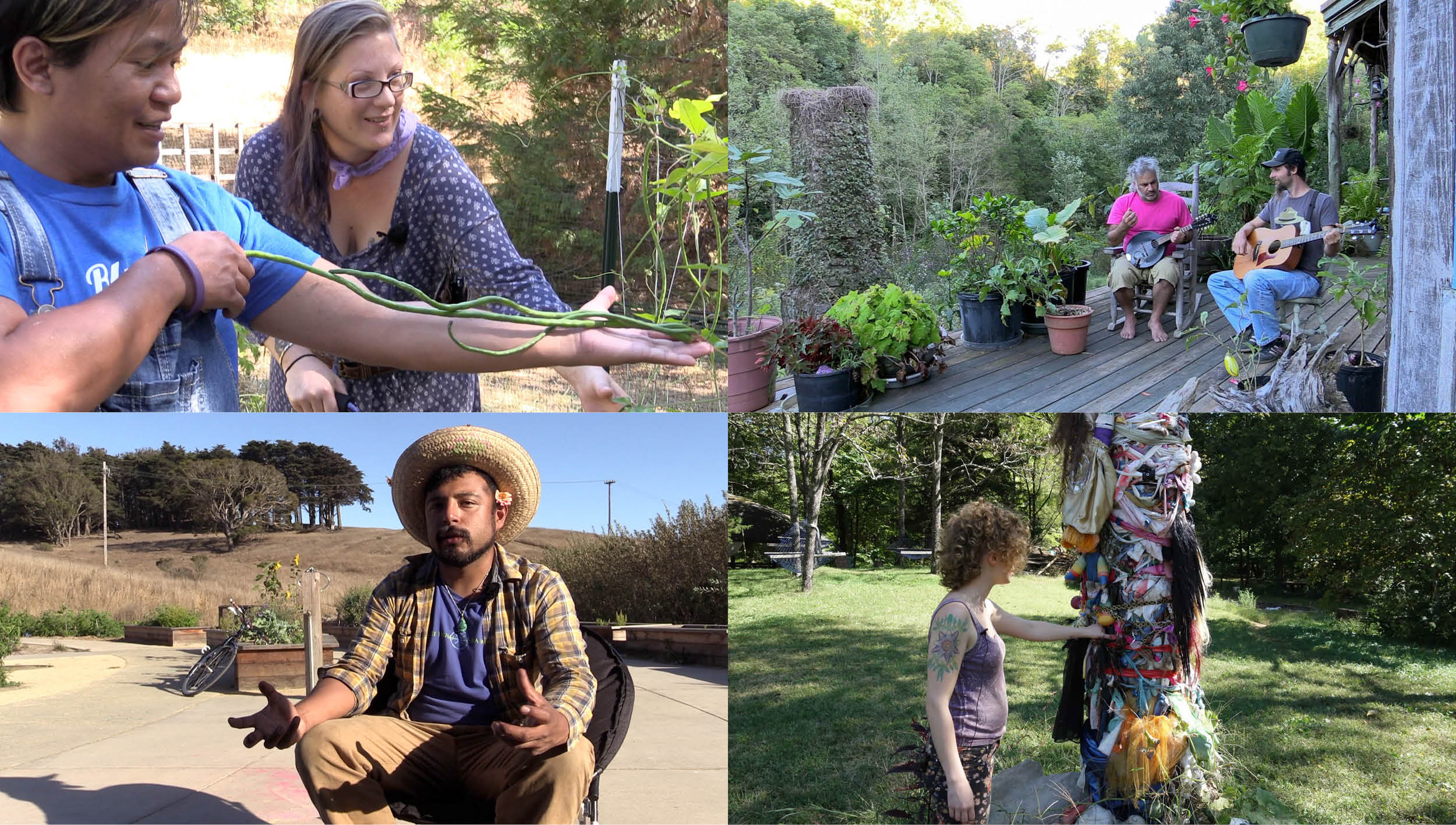 Queer Gardening – Queer-feministische Ökologien in Nordamerika